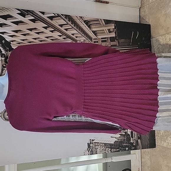 Daisy Fuentes NWT Women's Sweater Dress Size Medium - Picture 3 of 5